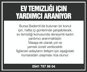 Yardımcı Aranıyor