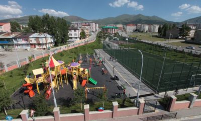 Yeşil Alan Rekoru Palandökenin