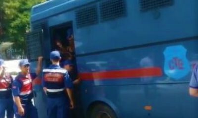 ‘Kedicikler Tekirdağda