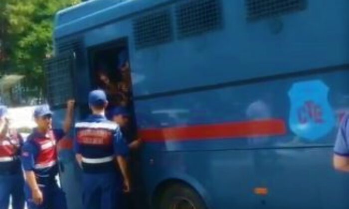 ‘Kedicikler Tekirdağda