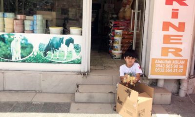 (Özel Haber) Ayağı Kırılan Yavru Ördeği Görünce Gözyaşlarına Boğuldu