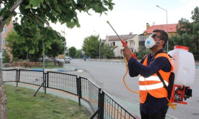 Aziziyede Kapsamlı İlaçlama Çalışması Başladı