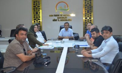 Tiftik Keçisi Koruma Altına Alındı