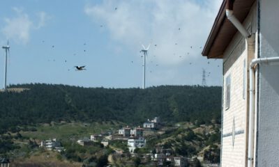 Belende Göçmen Kuşların Geçiş Güzergahına Kuş Gözlem Merkezi