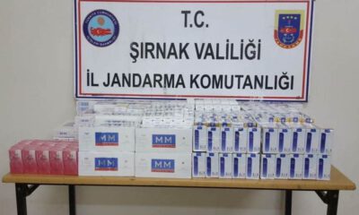 Şırnakta 13 Bin 31 Paket Kaçak Sigara Ele Geçirildi