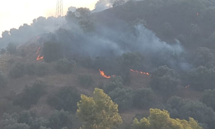 Nazillide Arazi Yangını 1.5 Hektar Alan Cayır Cayır Yandı