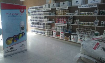 Tarımsan Market Çıldırda Hizmete Girdi