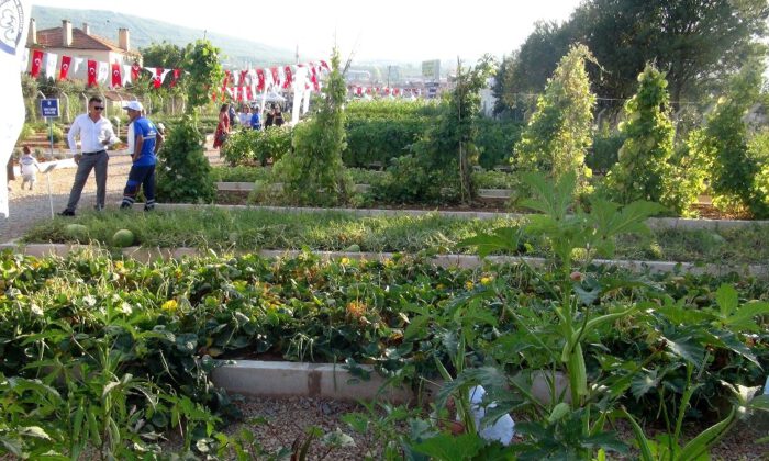 Yerel Tohum Merkezi Açıldı