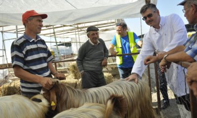 Eskişehirde Hayvan Pazarı Ve Kurban Kesim Yerlerinde Kontrol Noktaları Oluşturuldu