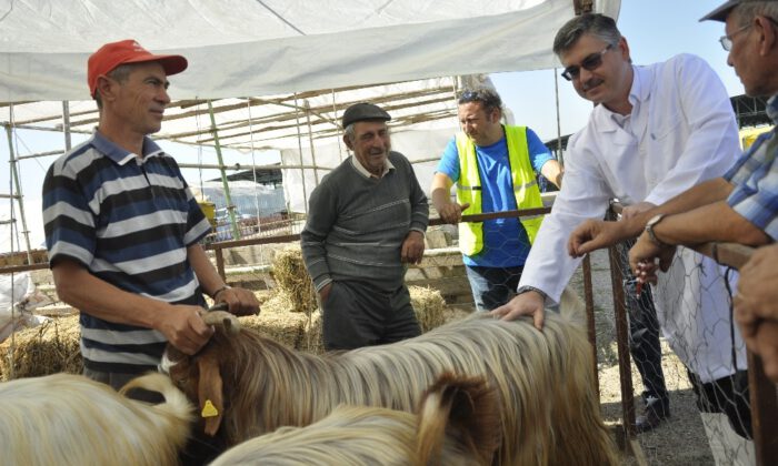 Eskişehirde Hayvan Pazarı Ve Kurban Kesim Yerlerinde Kontrol Noktaları Oluşturuldu