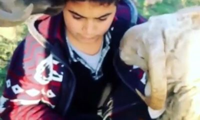 Küçük Çocuğun Kurbanlıklarla İmtihanı