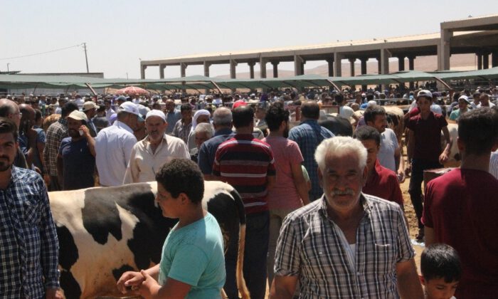 Hayvan Pazarında Arefe Yoğunluğu
