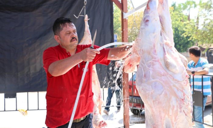 Büyükşehirden Ücretsiz Kurban Kesimi