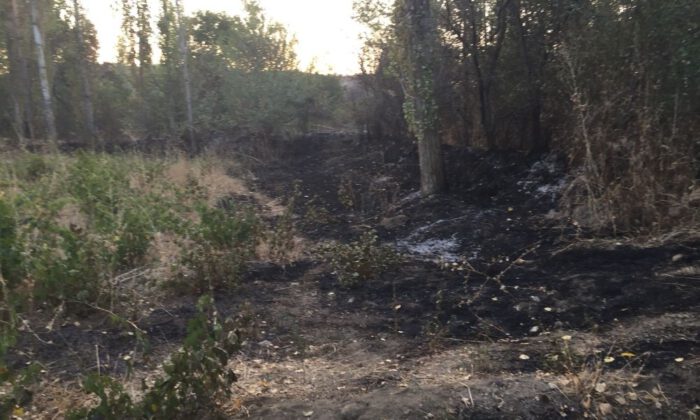 Bahçesindeki Otları Yakmak İsterken Kendini Yaktı