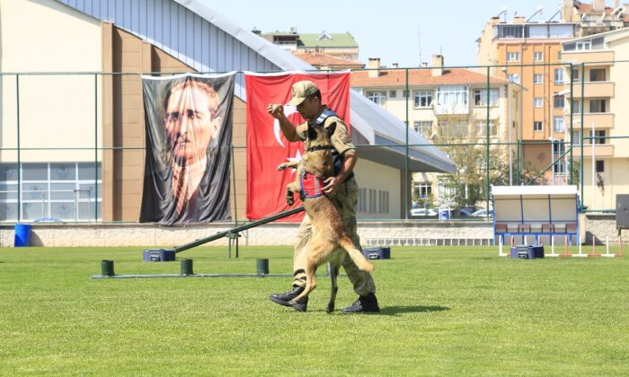 Jakem Komutanlığına Bağlı Köpeklerin Gösterileri Nefesleri Kesti
