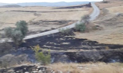 Sungurluda Arazi Yangını