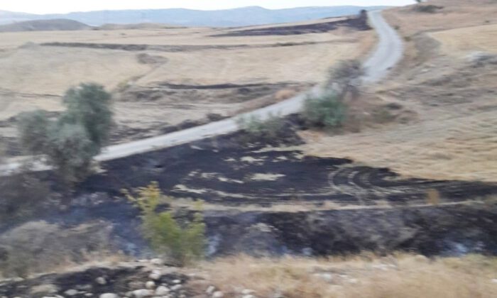 Sungurluda Arazi Yangını