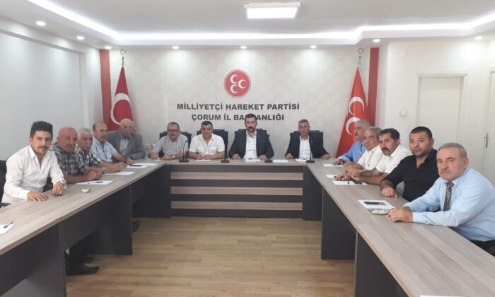 Mhp İlçe Başkanları Toplantısı