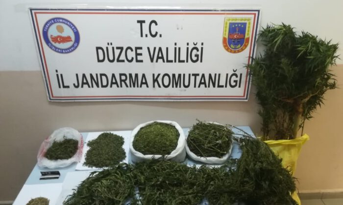 Düzcede Jandarmadan Uyuşturucu Operasyonu