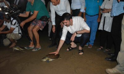 Bakan Kurum Caretta Carettaları Denizle Buluşturdu