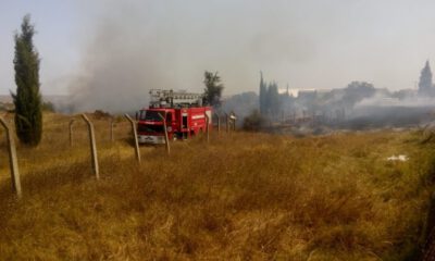 Hayraboluda Otluk Alanda Yangın