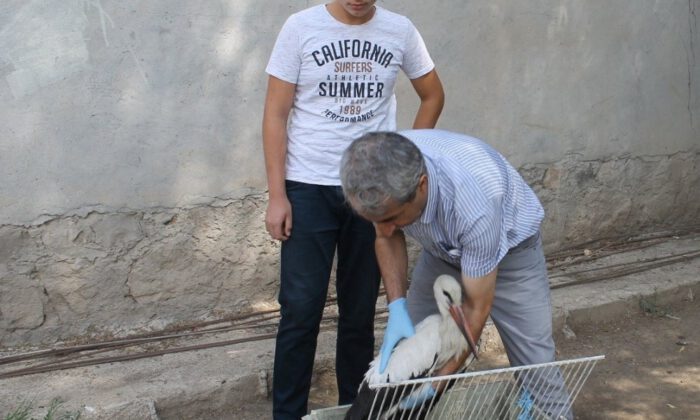 Yaralı Leylek Tedavi Altına Alındı