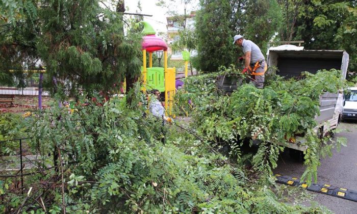 Bartın Belediyesinden Parklarda Temizlik Çalışmaları