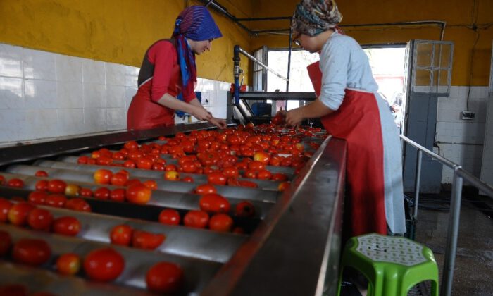 Salçaya Kadın Eli Değdi