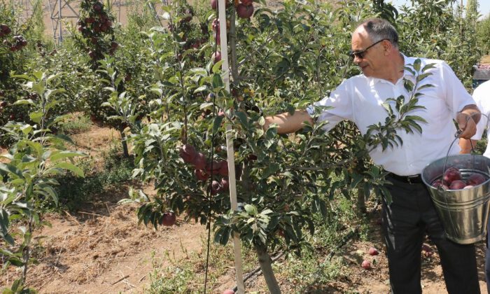 Başkan Öztürk: “Yahyalıda Elma Üretimi Modernleşmeli”