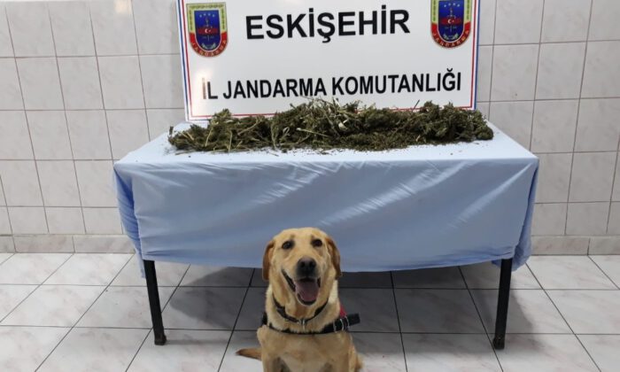 Uyuşturucu İmal Edilen Barakaya Baskın