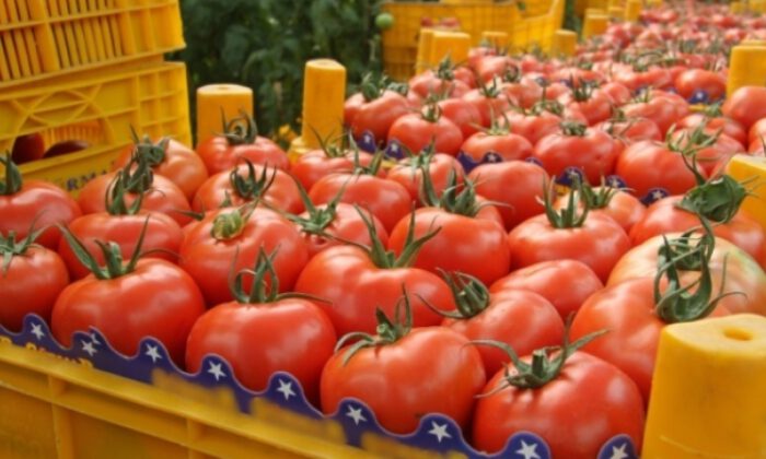 Fiyatı en çok artan domates, en çok düşen limon