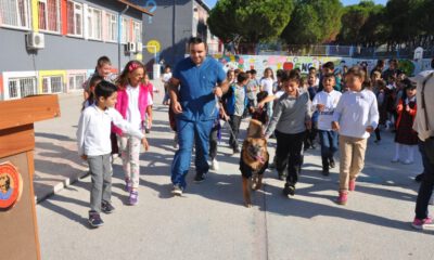 Öğrencilerden Köpeğe Mektup