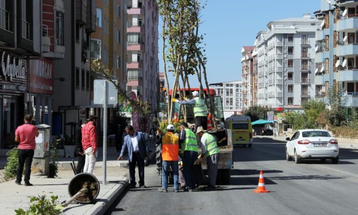 İskele Caddesinde Yeşillendirme Çalışması