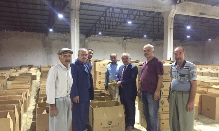 Ege Menşeyi Tütün Alımları Başladı