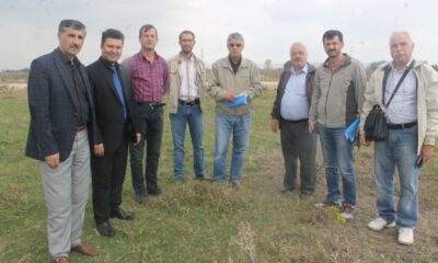 Meraların Islahı İçin Etüt Çalışmalarına Başlandı
