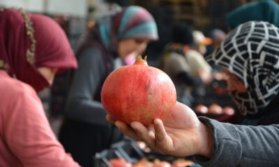 Rusyanın Narı Korkuteliden İhraç Ediliyor
