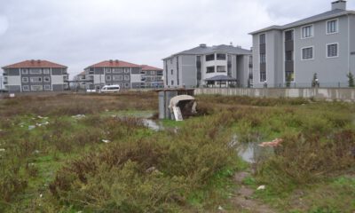 Çocukları Baktıkları İçin Değil Çaldığı İçin Korkutmak İstedim
