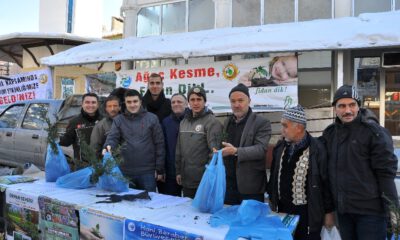 Yıl Başında Ağaç Kesme Fidan Dik Kampanyası