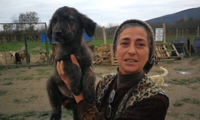 Hasta Hayvanlar İçin Barınak Kurdu