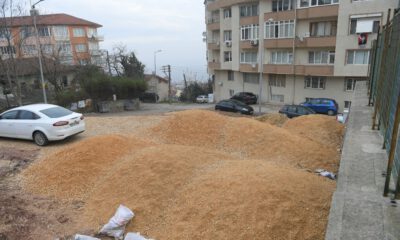 Atıl Durumdaki Pazar Alanı Parka Dönüşüyor