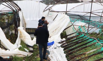 Hortumun vurduğu seralarda servet yatıyor
