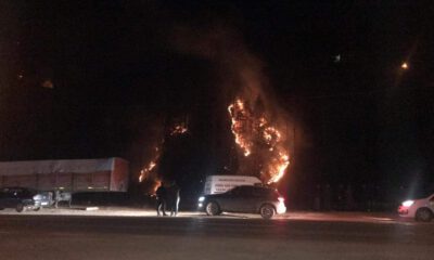 Kış Ortasında Orman Yangını Şoku