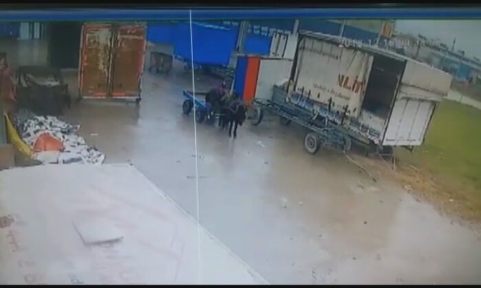 At Arabalı Hırsızlar Kameraya Yakalandı