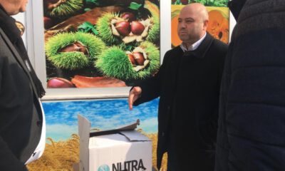Bursa’da Yaralı Şahin Bulundu