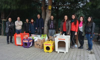 Özhan Gönüllüleri’nden Sokak Hayvanlarına Destek
