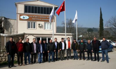 Mudanya Taşıyıcılarda Direksiyon Şahinerde