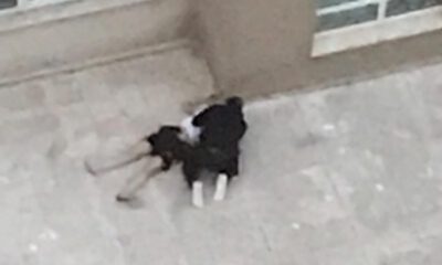 Dördüncü Kattan Atlayan Kız Arkadaşına Ölme Diye Yalvardı