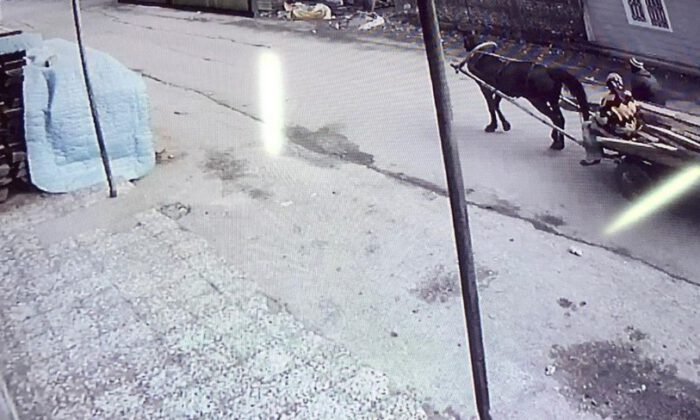İnegöl’ün Başı Hırsızlarla Dertte