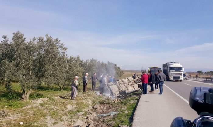 Yoldan Çıkan Araç Zeytinliğe Uçtu