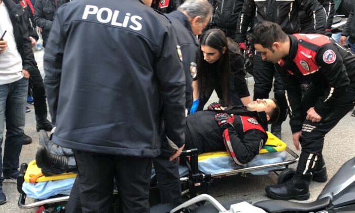 Yunuslara Otomobil Çarptı